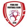 北京通州鹏瑞logo